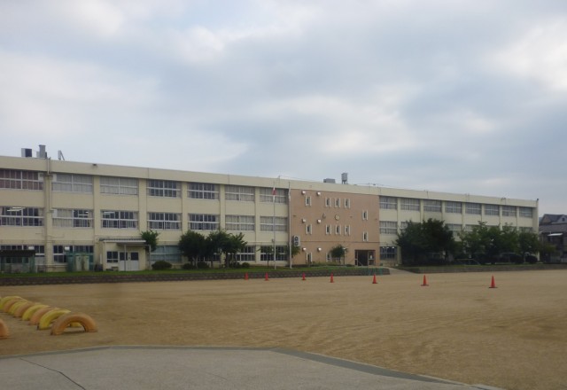 少し曇りくらいの方がいいですね